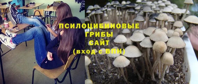 Галлюциногенные грибы Magic Shrooms  наркотики  блэк спрут ССЫЛКА  Магадан 